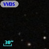 VVDS 220335443