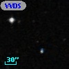 VVDS 220335526