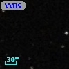 VVDS 220336664