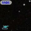 VVDS 220337041