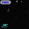 VVDS 220337196