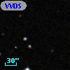 VVDS 220337302