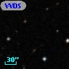 VVDS 220337324