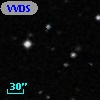 VVDS 220337544