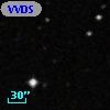 VVDS 220338304
