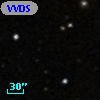 VVDS 220338498
