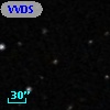 VVDS 220338774