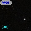 VVDS 220338827