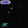 VVDS 220339117