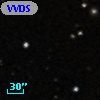 VVDS 220339193
