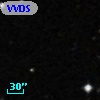 VVDS 220339269