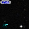 VVDS 220339278