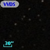 VVDS 220339351