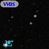 VVDS 220339448
