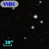 VVDS 220339704