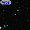 VVDS 220339925
