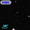VVDS 220339994