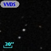 VVDS 220341229