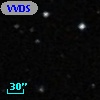 VVDS 220346870