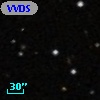 VVDS 220346921