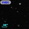 VVDS 220346997