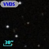 VVDS 220347505