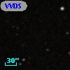 VVDS 220348504