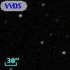 VVDS 220348646