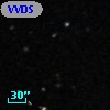 VVDS 220348653