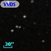 VVDS 220349996