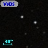 VVDS 220350171