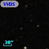 VVDS 220351041