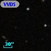 VVDS 220351125