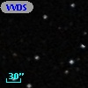 VVDS 220351373