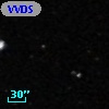 VVDS 220351388