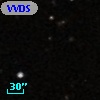 VVDS 220351575