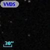 VVDS 220351750