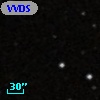 VVDS 220351957