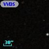 VVDS 220352334