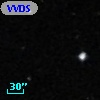 VVDS 220352549