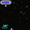 VVDS 220352858