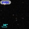 VVDS 220352928