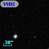 VVDS 220353438