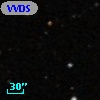 VVDS 220353793