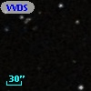 VVDS 220353948