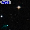 VVDS 220354181
