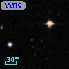 VVDS 220354538