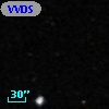 VVDS 220354690