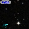 VVDS 220355138