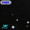 VVDS 220355531